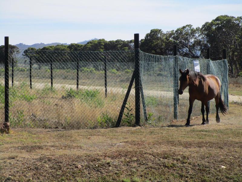 0 Bedroom Property for Sale in Fisherhaven Western Cape